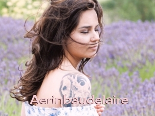 Aerinbaudelaire