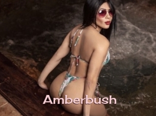 Amberbush