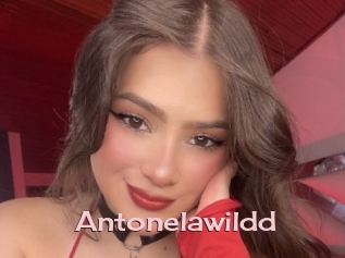 Antonelawildd