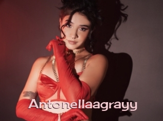 Antonellaagrayy