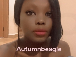 Autumnbeagle