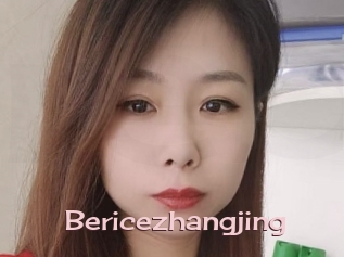 Bericezhangjing