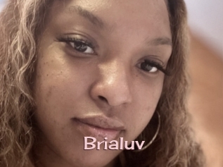 brialuv Rebelles Beurettes