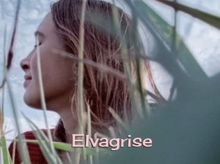 Elvagrise