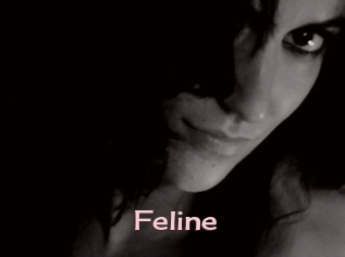 Feline