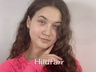 Hildfarr