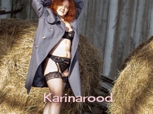 Karinarood