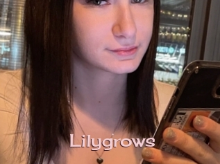 Lilygrows