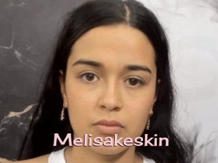 Melisakeskin