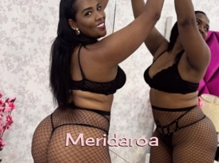 Meridaroa