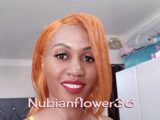 Nubianflower36