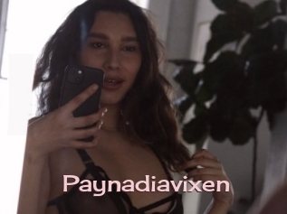 Paynadiavixen