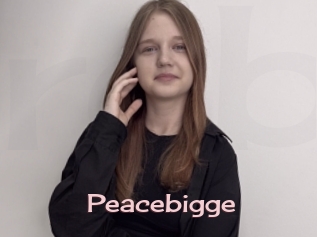 Peacebigge