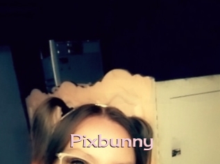 Pixbunny
