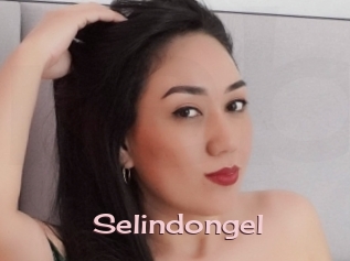 Selindongel