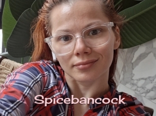 Spicebancock