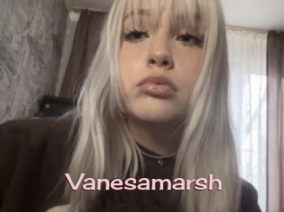 Vanesamarsh