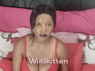 Wildkitten