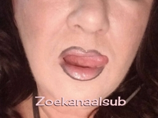 Zoekanaalsub